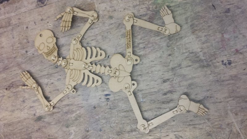 Laser Cut Articulated Skeleton