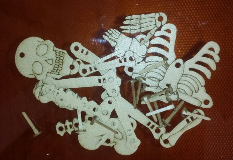 Laser Cut Articulated Skeleton