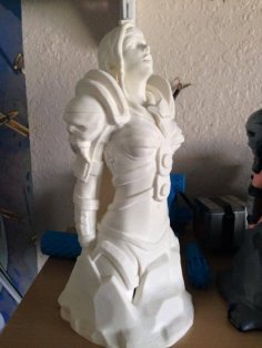 Knight Remix 3D Printer Model