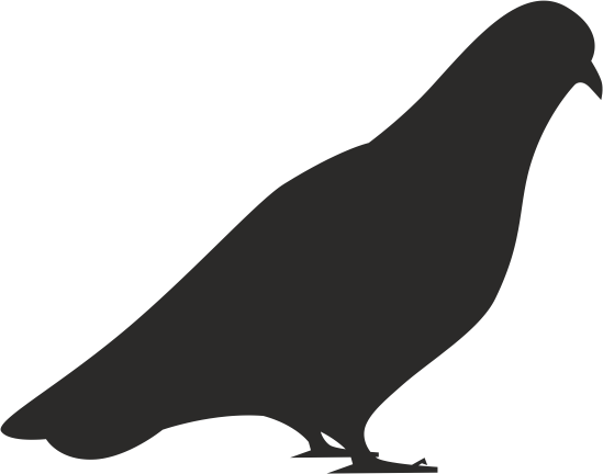 Vecteur de silhouette de colombe d'oiseau