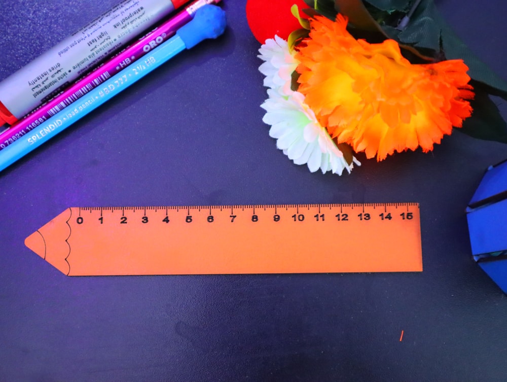 Laser Cut Wooden Pencil Ruler Free Vector