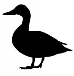 File dxf della siluetta laterale di Mallard Duck