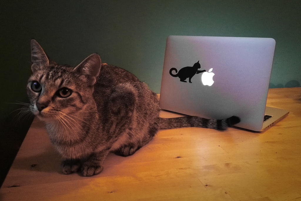 Lasergeschnittener Laptop-Aufkleber Katze 12x7cm