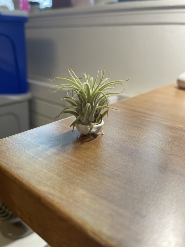 Air Plant Pots 3D Printer Model Download Free STL File 3axis.co