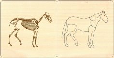 Horse Mammal Zoology Animal Puzzle Montessori For Laser Cut