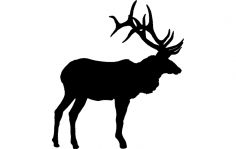 Große Bull Elk DXF-Datei