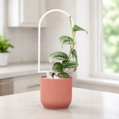 Laser Cut Arch Trellis for Climbing Plants