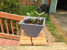 Simple Planter 3D Printer Model