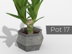 Pot _17 3D Printer Model