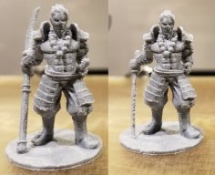 D&D Human Samurai Fighter  Kensei Monk 3D Printer Model