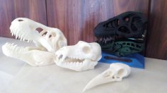 Skulls 3D Printer Model