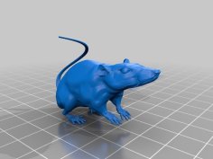 Rat 3D Printer Model