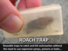 Roach Trap…Reusable Trap To Catch And Kill Cockroaches 3D Printer Model