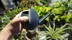 Small Watering Can 3D Printer Model