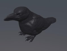 Sitting Crow 3D Printer Model