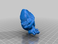 Solid Anatomical Heart 3D Printer Model