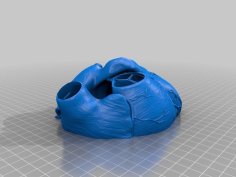 Medical Student Anatomy 1:1 Cut Open Heart 3D Printer Model