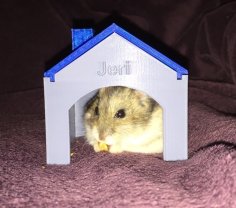 Hamster House 3D Printer Model