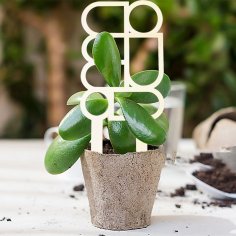 Laser Cut Indoor Plant Trellis Climbing Plants Support