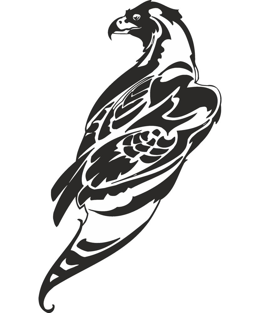 halcón, arte vectorial