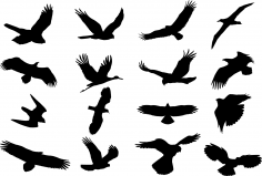 Conjunto de vectores de silueta de aves