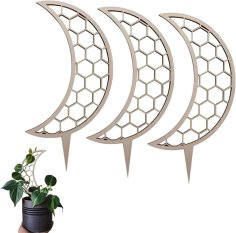 Laser Cut Wooden Garden Trellis for Climbing Plant Vines Flower