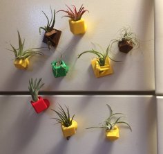 Air Plant Holders 3D Printer Model