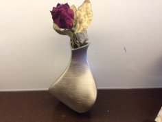 Ctron Vase 3D Printer Model