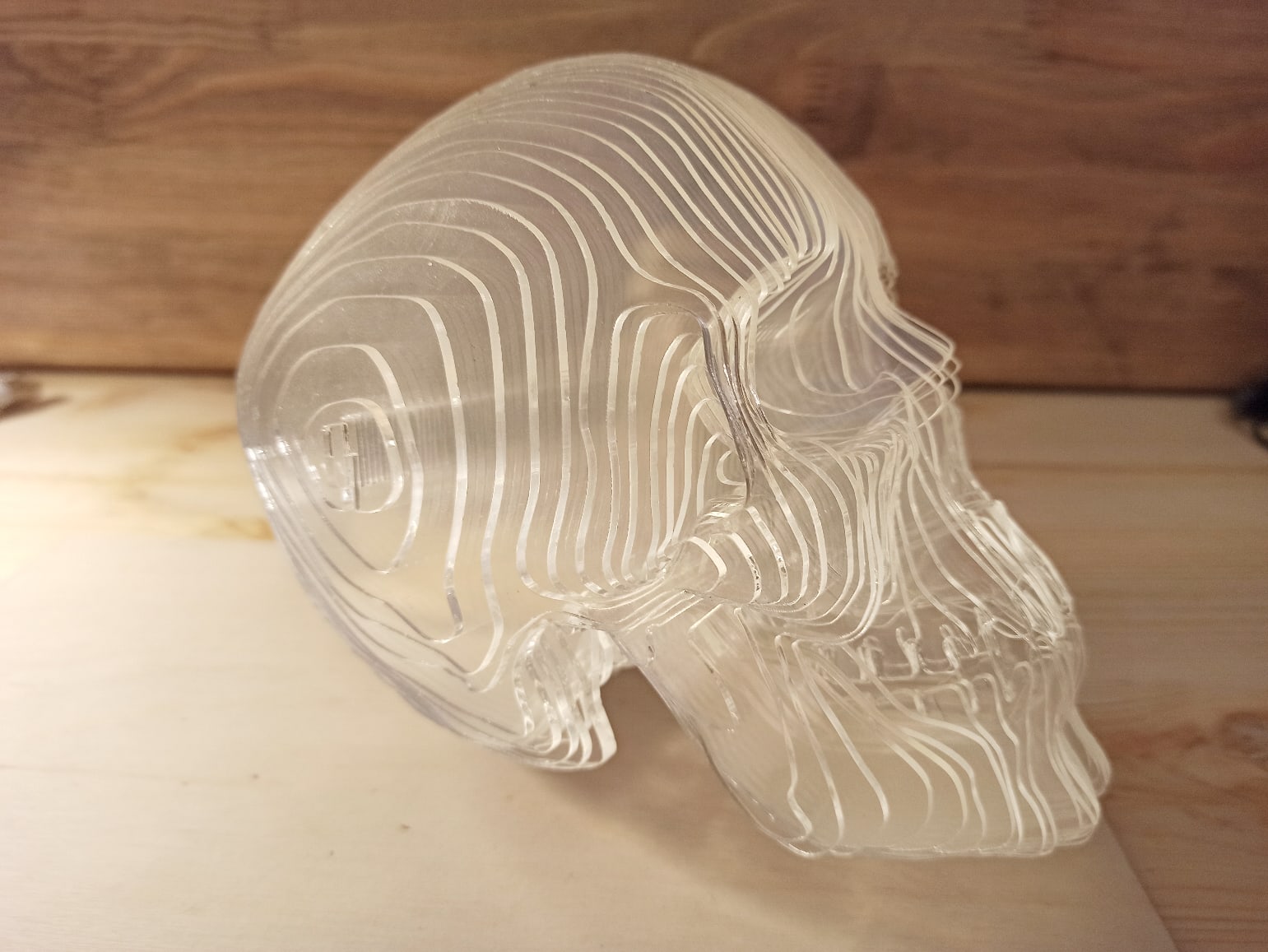 Modelo de crânio 3D acrílico cortado a laser