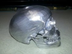 Human Skull With Mandible And Teeth 3D Printer Model