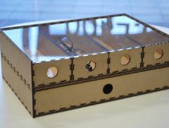 Laser Cut Glasses Case