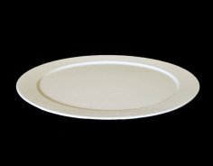 Dinner Plate 3D Printer Model