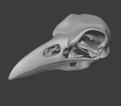 Raven Skull 3D Printer Model