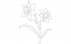 Daf Flower dxf File