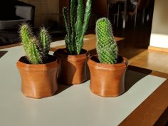 Simple Planter 3D Printer Model