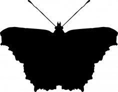 Czarny motyl