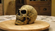 Alchemist Omega Skull 3D Printer Model