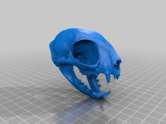 Domestic Cat Skull 3D Printer Model