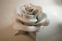 Rose – Real Flower 3D Printer Model