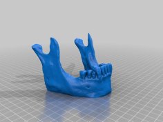 Skull Jaw Phone Tablet Business Card Stand 3D Printer Model