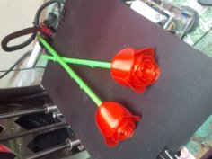 Stem And Thorns (for Anniversary Rose) 3D Printer Model