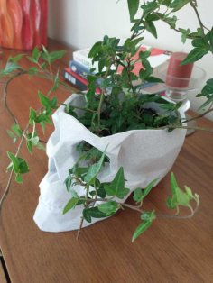 Lowpoly Skull Flowerpot Remix 3D Printer Model