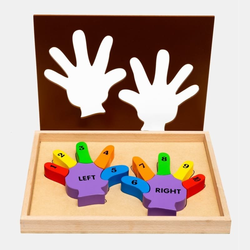 Laser Cut Counting Double Hand Puzzle, Wooden Number Puzzle