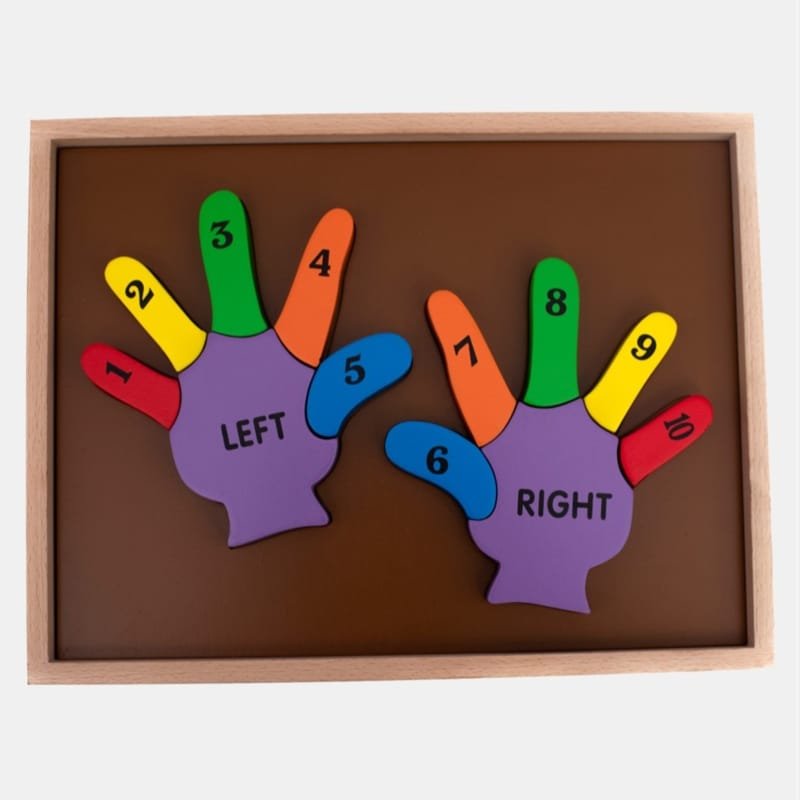 Laser Cut Counting Double Hand Puzzle, Wooden Number Puzzle
