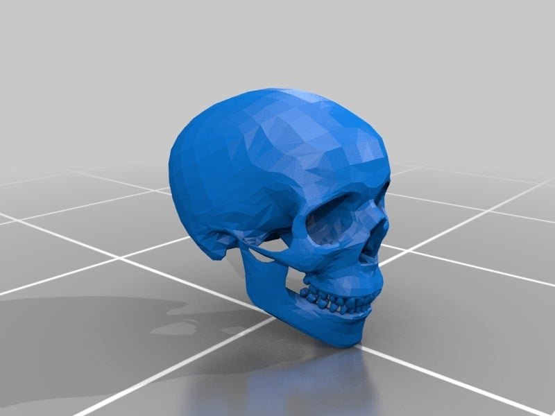 Human Skull 3D Printer Model Download Free STL File - 3axis.co