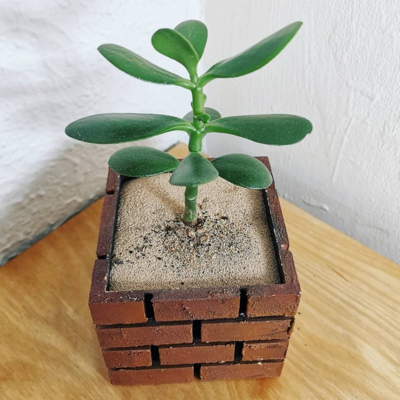 Super Mario Bros Brick Container 3D Printer Model Download Free STL