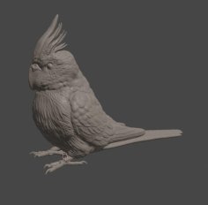 Sitting Cockatiel 3D Printer Model