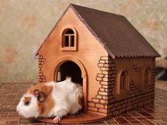 Rabbit House dxf file