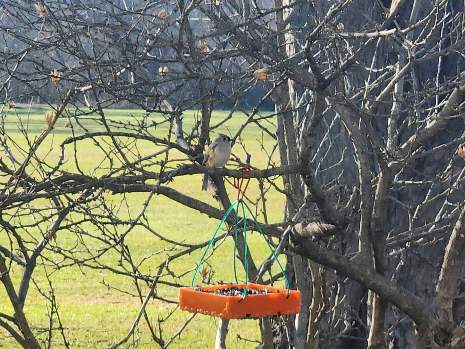 Laser Cut Hanging Tray Bird Feeder SVG File