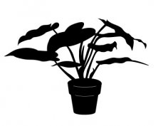 Fichier dxf de silhouette de plante d'intérieur